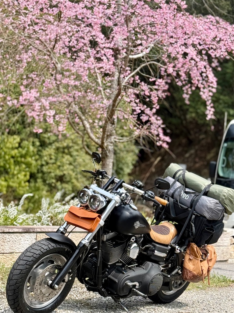 f:id:CustombikeLIGHT:20260604143750j:image