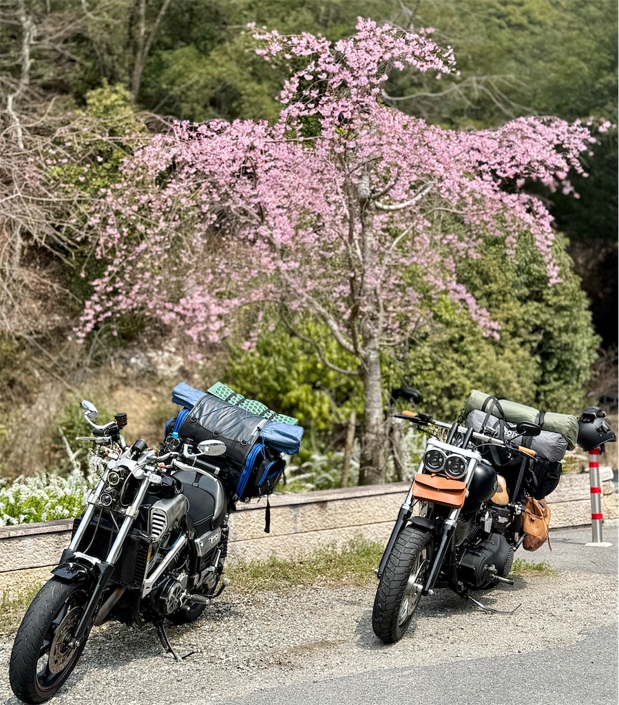 f:id:CustombikeLIGHT:20260604143823j:image