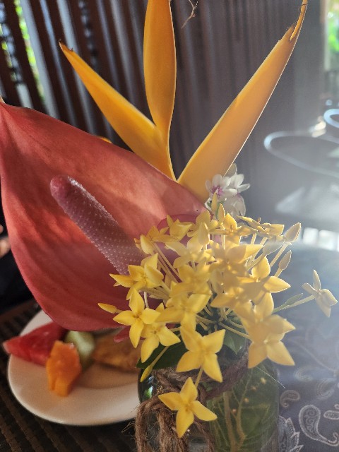 f:id:Cyagi:20240104113502j:image