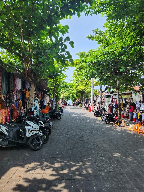 f:id:Cyagi:20240104113723j:image