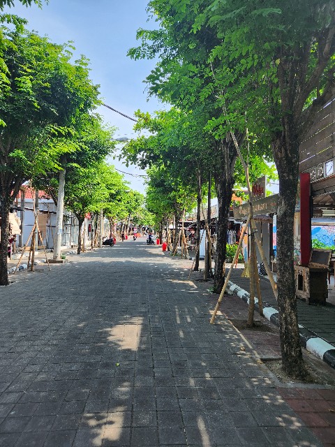 f:id:Cyagi:20240104113739j:image