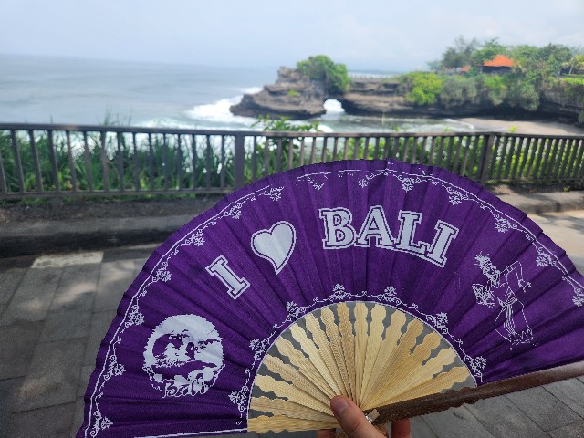 f:id:Cyagi:20240104214838j:image