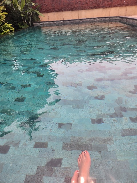 f:id:Cyagi:20240104215355j:image