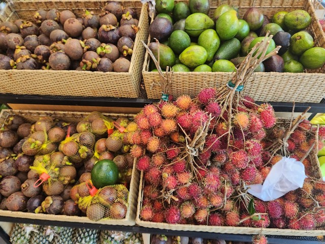 f:id:Cyagi:20240106101316j:image