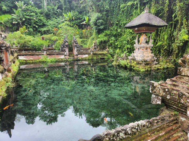 f:id:Cyagi:20240107163808j:image