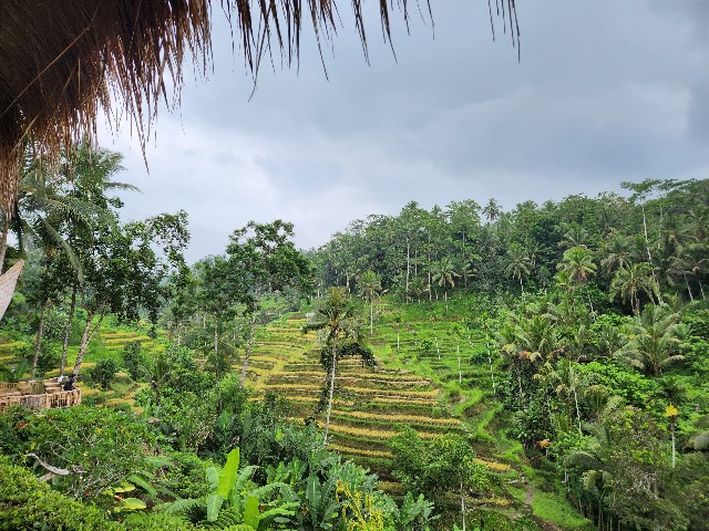 f:id:Cyagi:20240107163916j:image