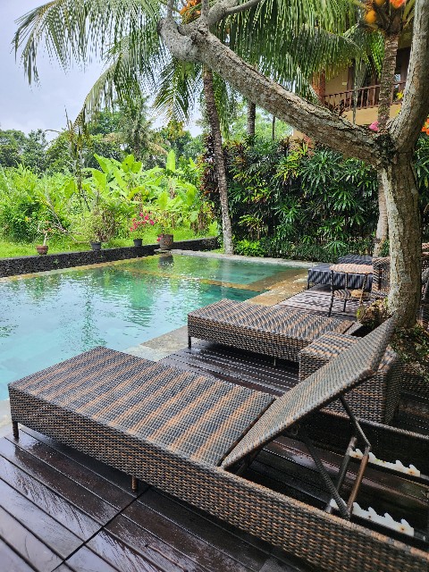 f:id:Cyagi:20240110175855j:image