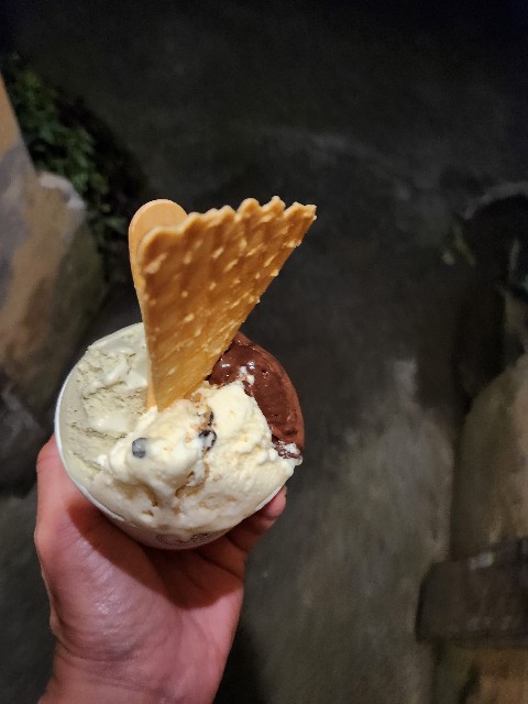 f:id:Cyagi:20240110181738j:image