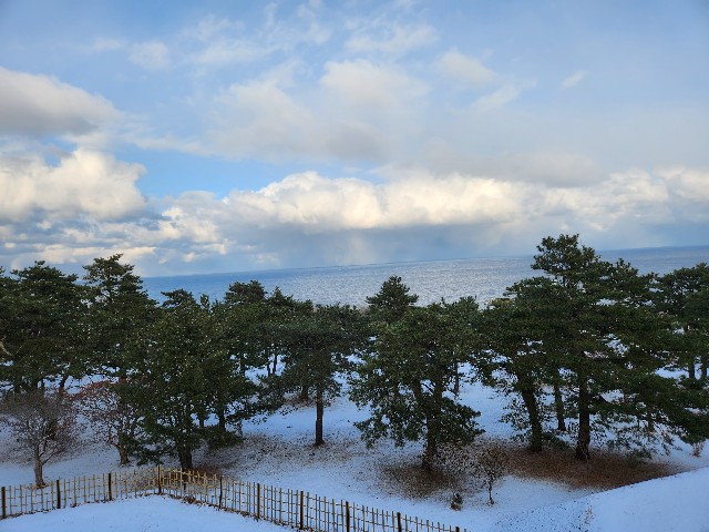 f:id:Cyagi:20240117135336j:image