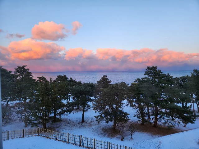 f:id:Cyagi:20240117135426j:image