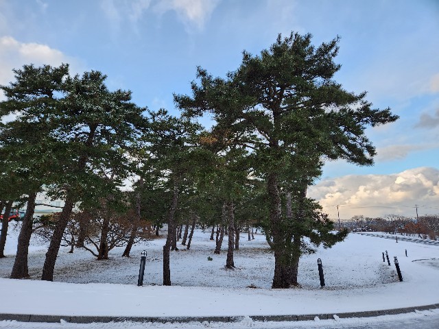 f:id:Cyagi:20240117135525j:image