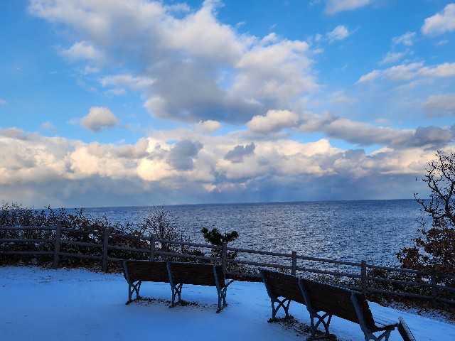 f:id:Cyagi:20240117135725j:image