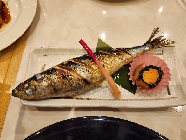 f:id:Cyagi:20240117135838j:image