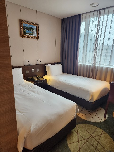 f:id:Cyagi:20240214144650j:image