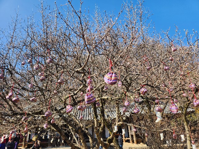 f:id:Cyagi:20240214150116j:image