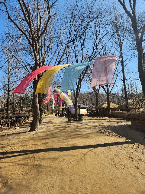 f:id:Cyagi:20240214150123j:image