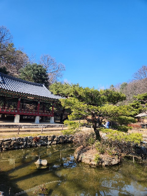 f:id:Cyagi:20240214150145j:image