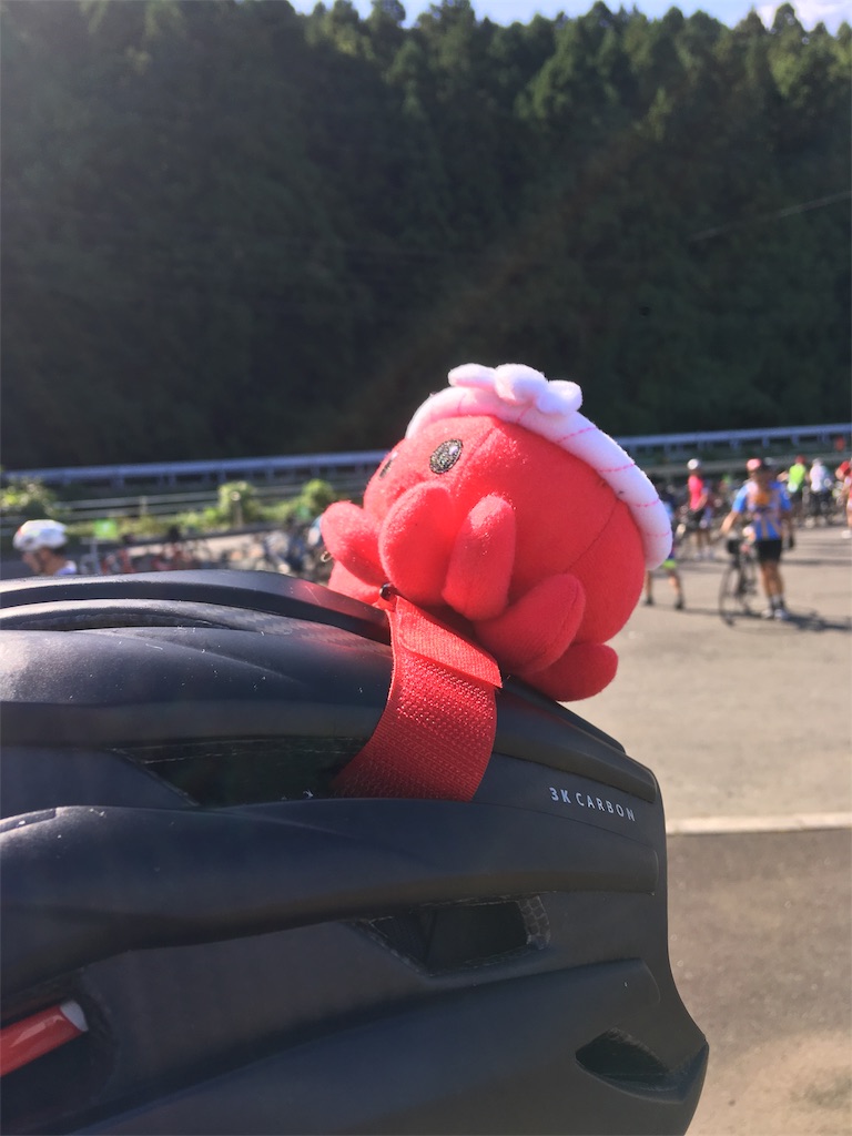 f:id:Cycle_Training_Project:20180916184259j:image f:id:Cycle_Training_Project:20180916184259j:image