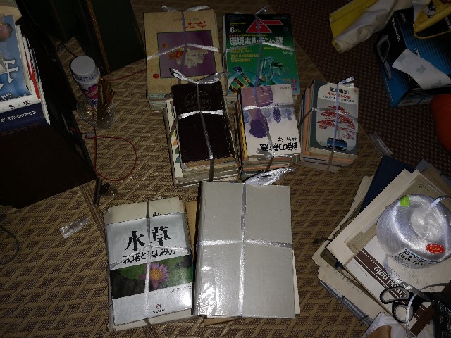 f:id:D-Gauche:20191210175259j:image