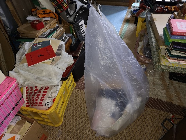 f:id:D-Gauche:20191210180335j:image