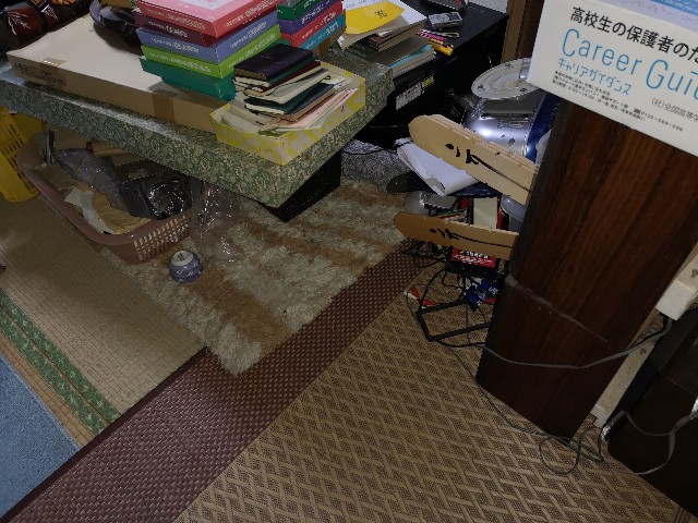 f:id:D-Gauche:20191210180937j:image