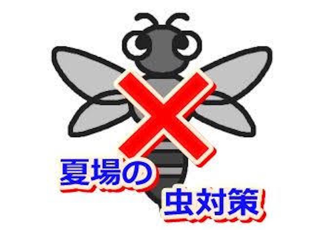 飲食店の方必見 蝿や蚊など虫を寄せ付けない方法 沖縄を満喫 D Ing沖縄のブログ