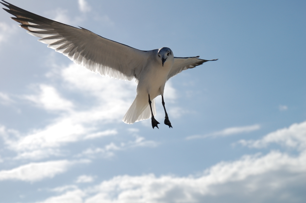 f:id:DAHAB:20170628175019j:plain f:id:DAHAB:20170628175019j:plain