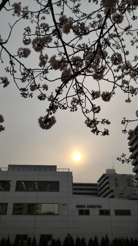 f:id:DAHAB:20180328171819j:plain