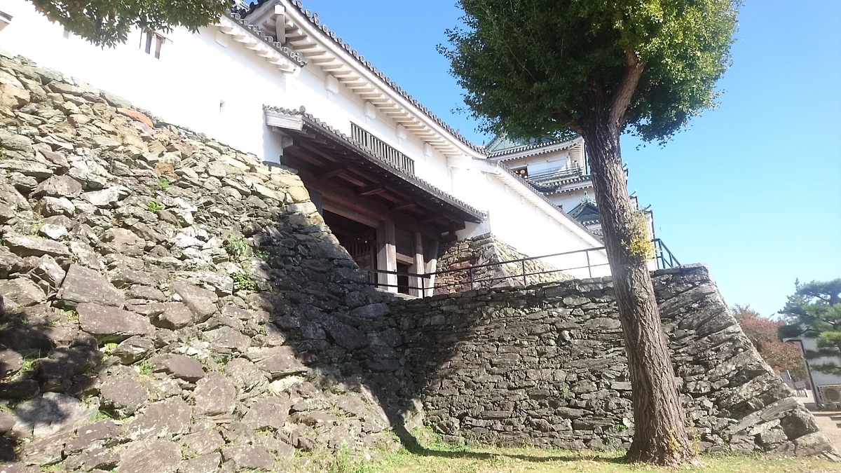 f:id:DAMETALK:20201116111050j:plain