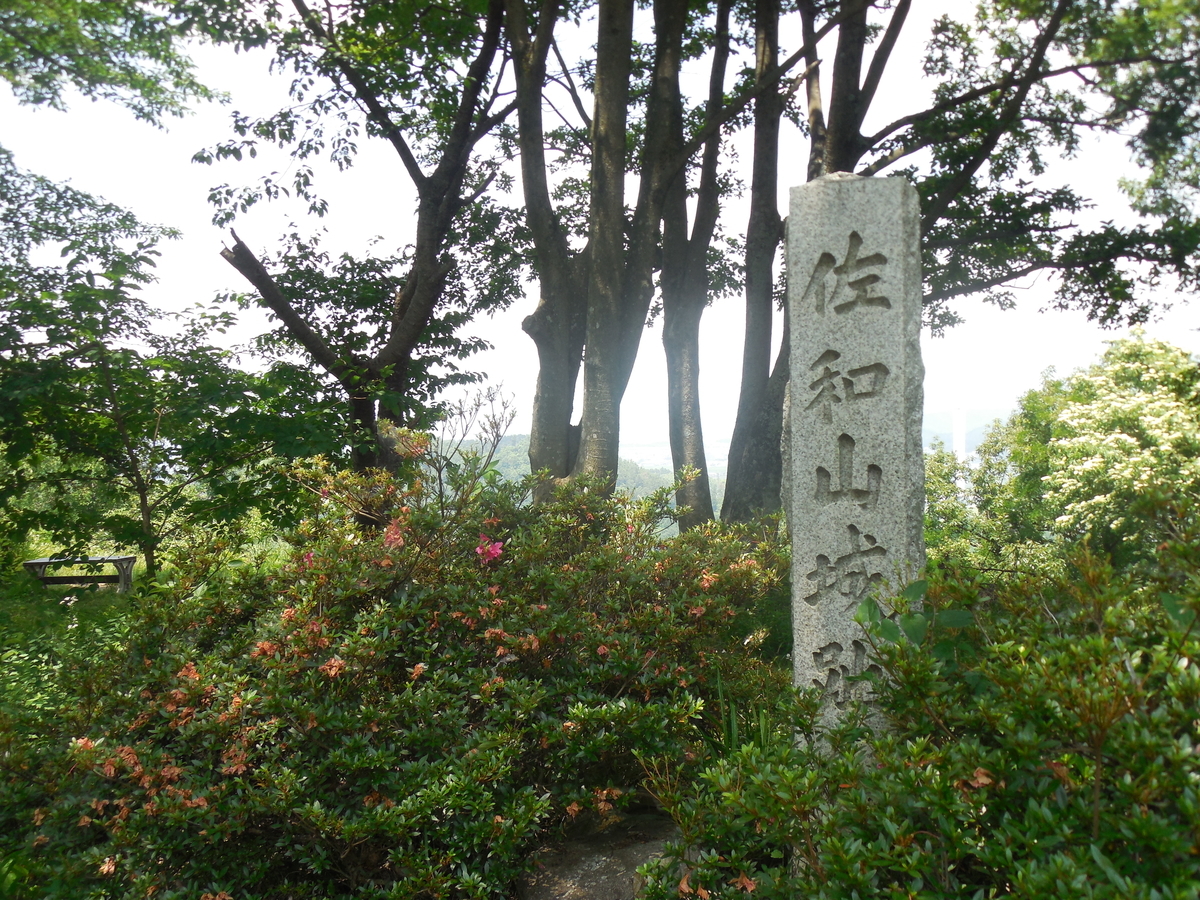 f:id:DAMETALK:20201211190912j:plain