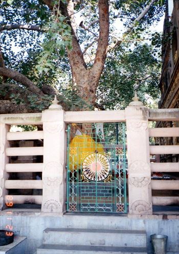 f:id:DAVEchang:20160821005738j:plain f:id:DAVEchang:20160821005738j:plain