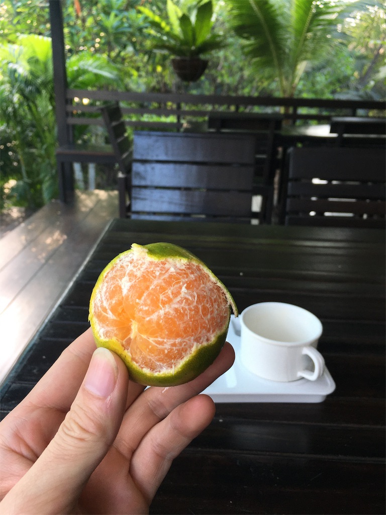 f:id:DAZAIFIC:20191106232632j:image