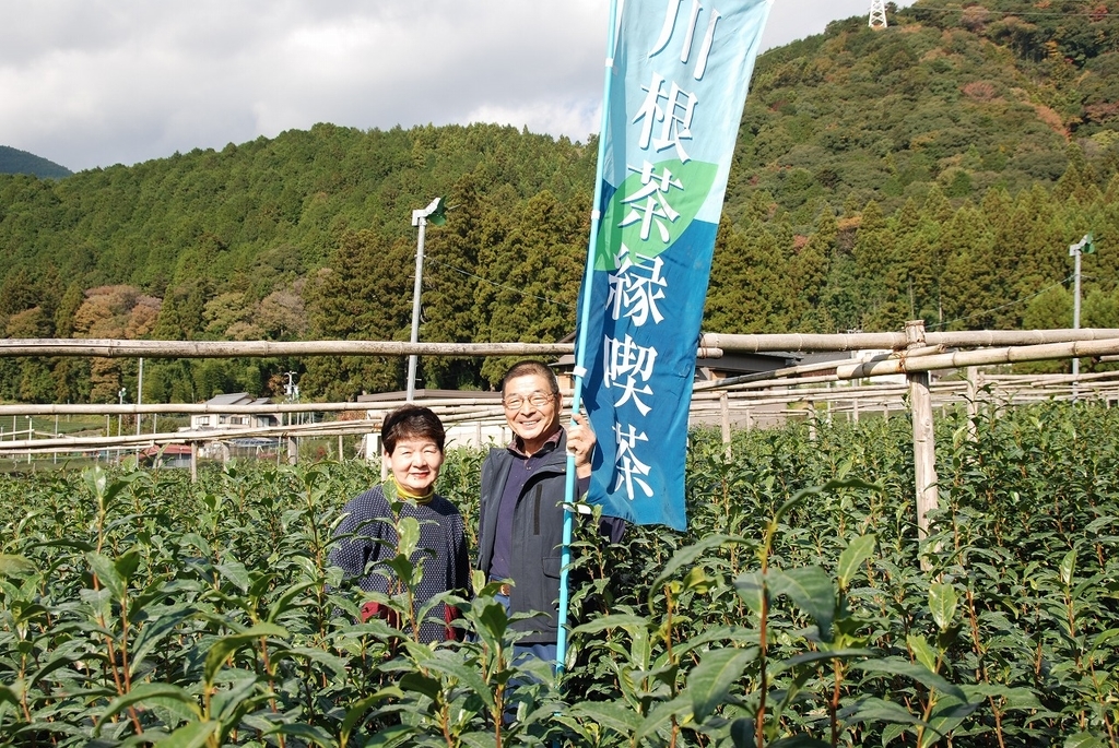 f:id:DDOSHINKANKO:20190114180211j:plain f:id:DDOSHINKANKO:20190114180211j:plain