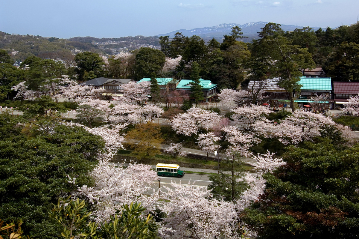 f:id:DDOSHINKANKO:20191218144545j:plain f:id:DDOSHINKANKO:20191218144545j:plain
