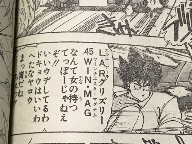 霧子のグリズリー で 霧子って誰 Dt 10mmautoの日記