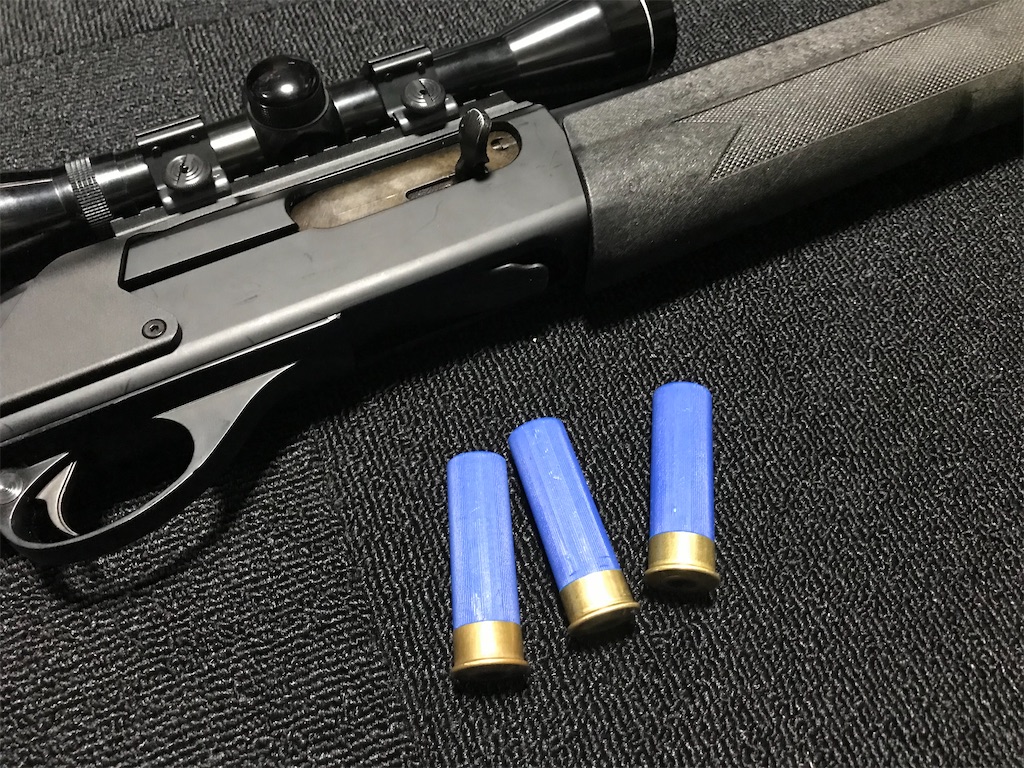 f:id:DELTAELITE-10mmAUTO:20200308190847j:image