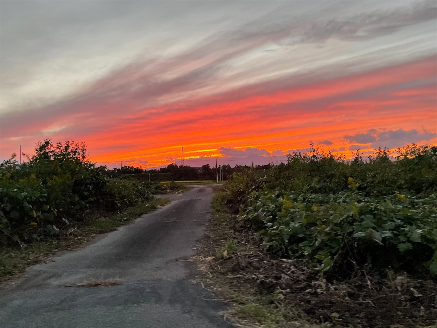 f:id:DELTAELITE-10mmAUTO:20221012234802j:image f:id:DELTAELITE-10mmAUTO:20221012234802j:image