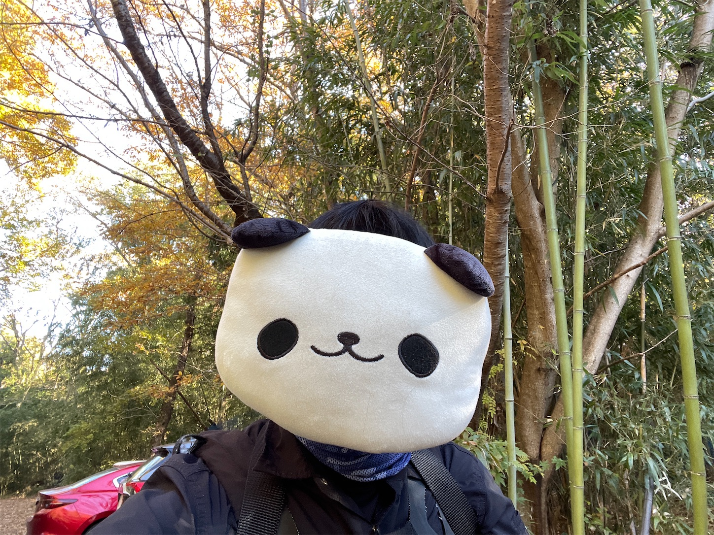 f:id:DELTAELITE-10mmAUTO:20241130195002j:image