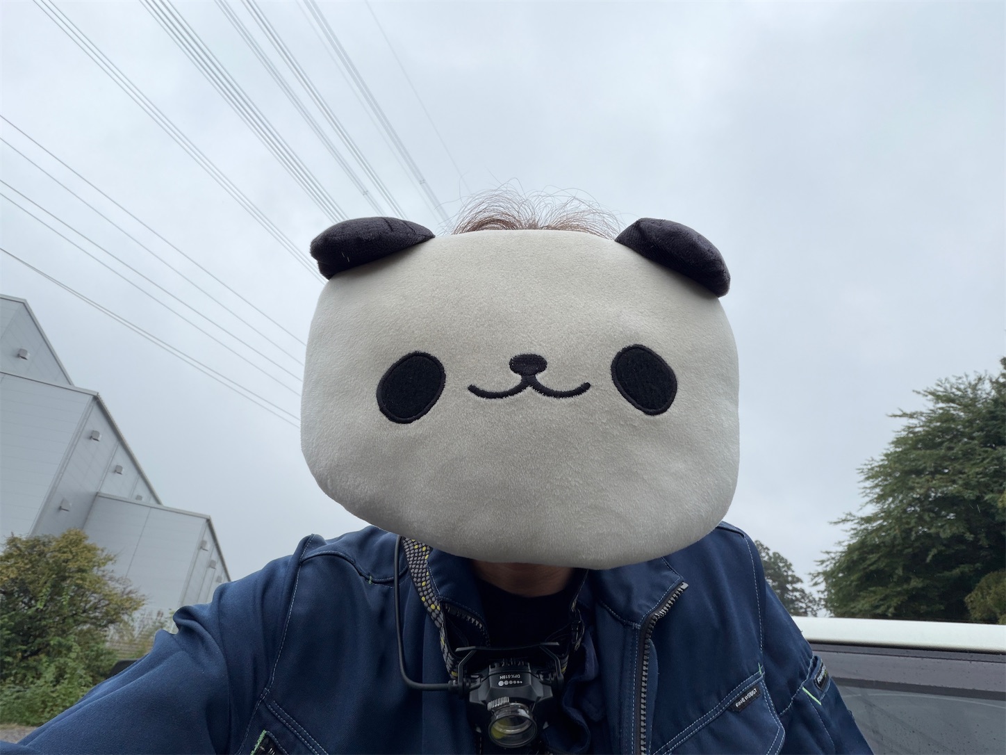 f:id:DELTAELITE-10mmAUTO:20251011145327j:image f:id:DELTAELITE-10mmAUTO:20251011145327j:image