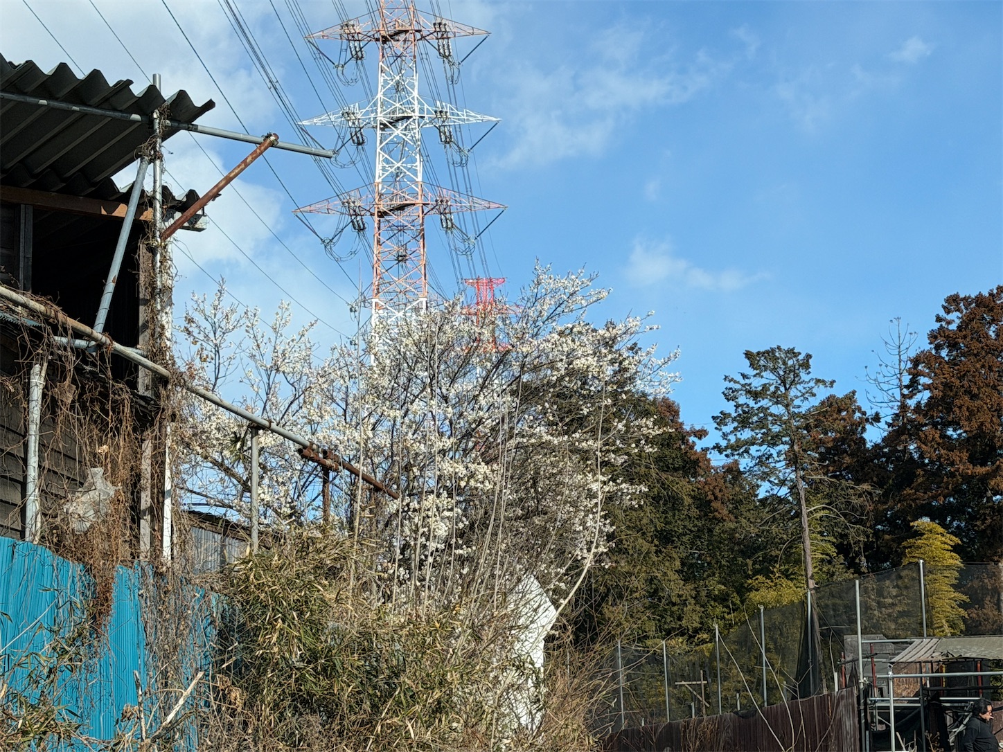 f:id:DELTAELITE-10mmAUTO:20260125104542j:image f:id:DELTAELITE-10mmAUTO:20260125104542j:image