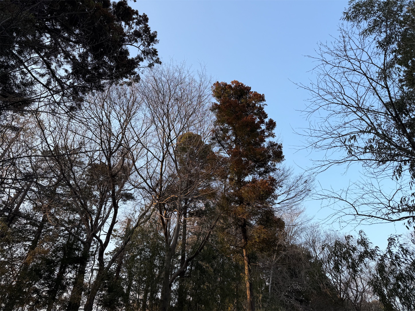 f:id:DELTAELITE-10mmAUTO:20260322222508j:image