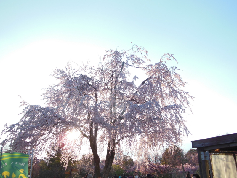 f:id:DENSHA-KING:20130325172313j:image:w360 f:id:DENSHA-KING:20130325172313j:image:w360