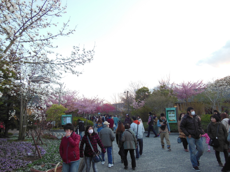 f:id:DENSHA-KING:20130325174919j:image:w360 f:id:DENSHA-KING:20130325174919j:image:w360