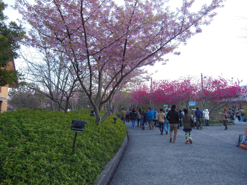f:id:DENSHA-KING:20130325174949j:image:w360 f:id:DENSHA-KING:20130325174949j:image:w360