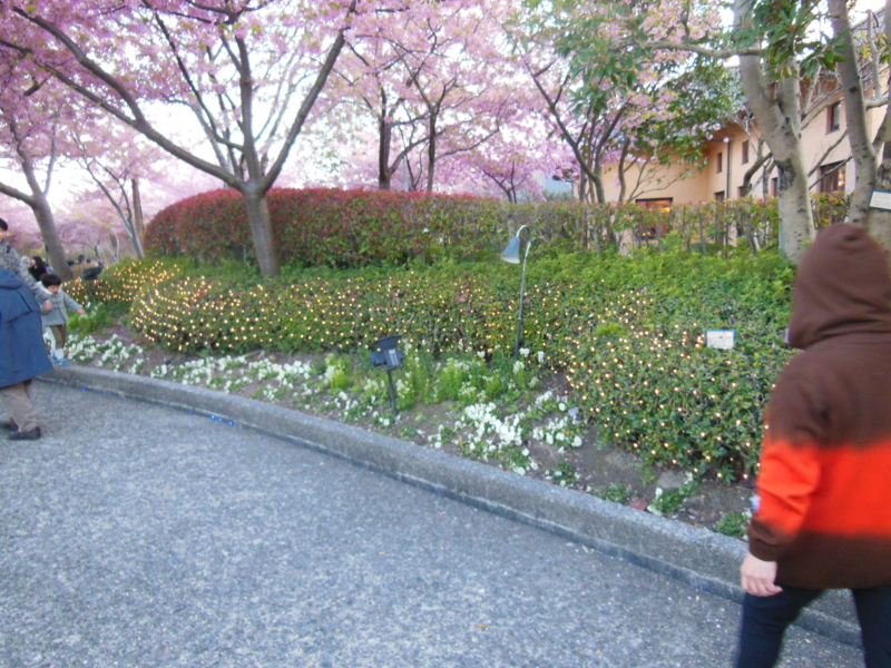 f:id:DENSHA-KING:20130325175118j:image:w360 f:id:DENSHA-KING:20130325175118j:image:w360