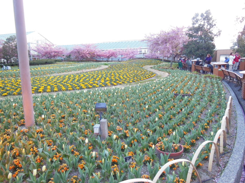 f:id:DENSHA-KING:20130325175441j:image:w360 f:id:DENSHA-KING:20130325175441j:image:w360