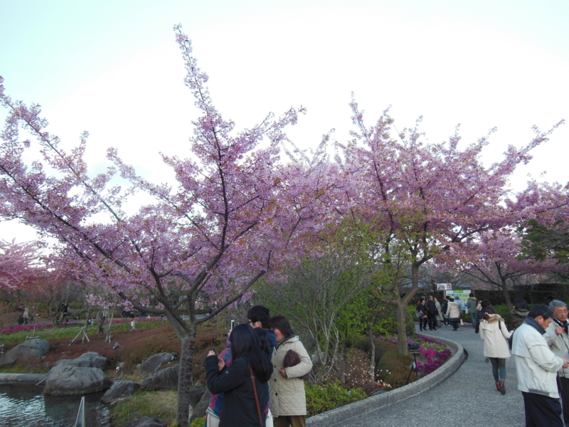 f:id:DENSHA-KING:20130325175454j:image:w360 f:id:DENSHA-KING:20130325175454j:image:w360