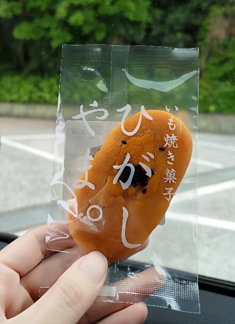 f:id:DEP-TRAVEL:20210417213628j:image f:id:DEP-TRAVEL:20210417213628j:image