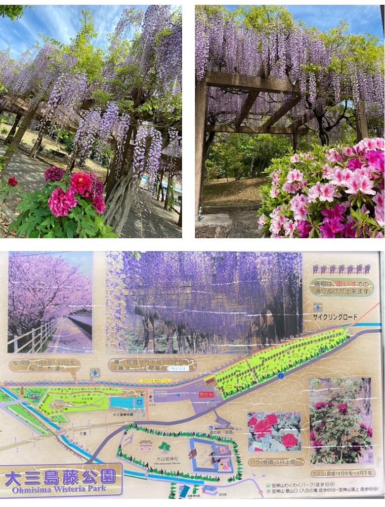 f:id:DEP-TRAVEL:20210522230951j:image