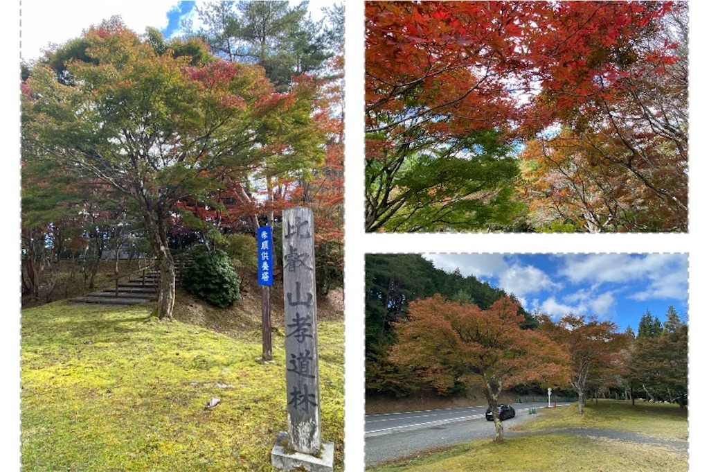 f:id:DEP-TRAVEL:20231110081855j:image